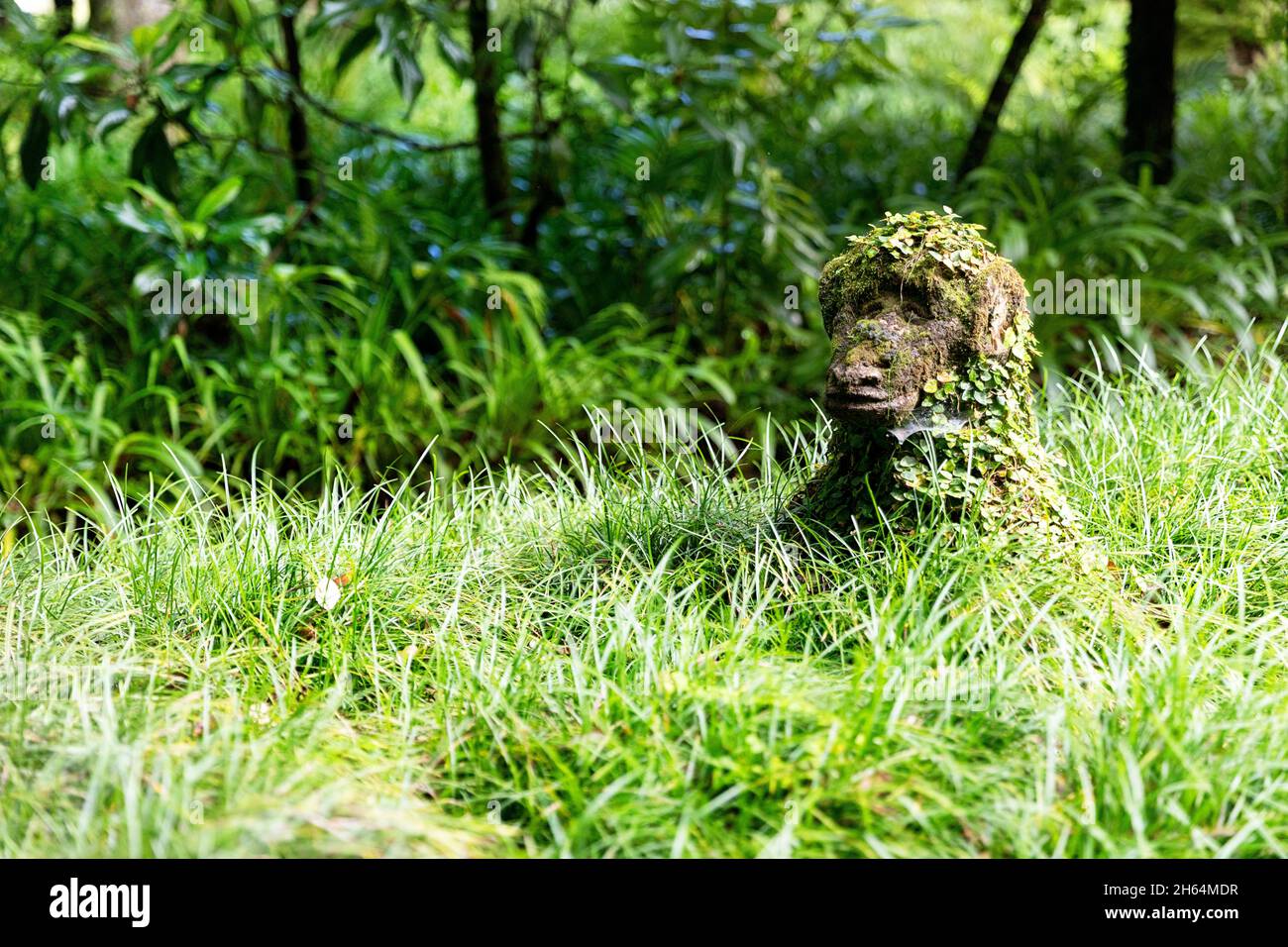 Monkey moss covered sculpture in the animal garden at the Terra Nostra Garden hotel , Portugal, Azores, Sao Miguel Island, Furnas. Stock Photo