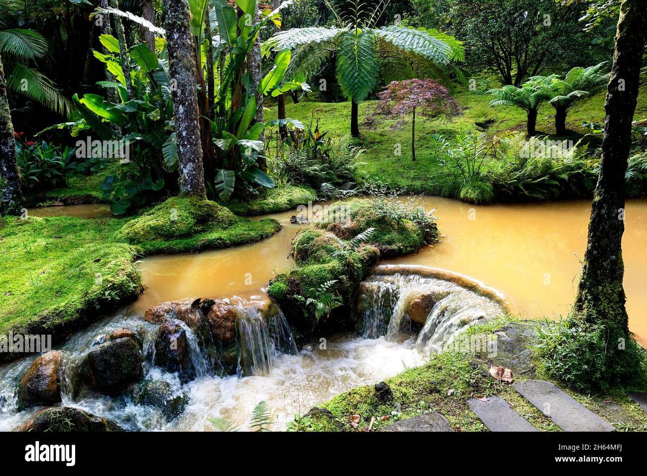 Portugal, Azores, Sao Miguel Island, Furnas. Lush exotic forest and water stream in Terra Nostra Garden Stock Photo