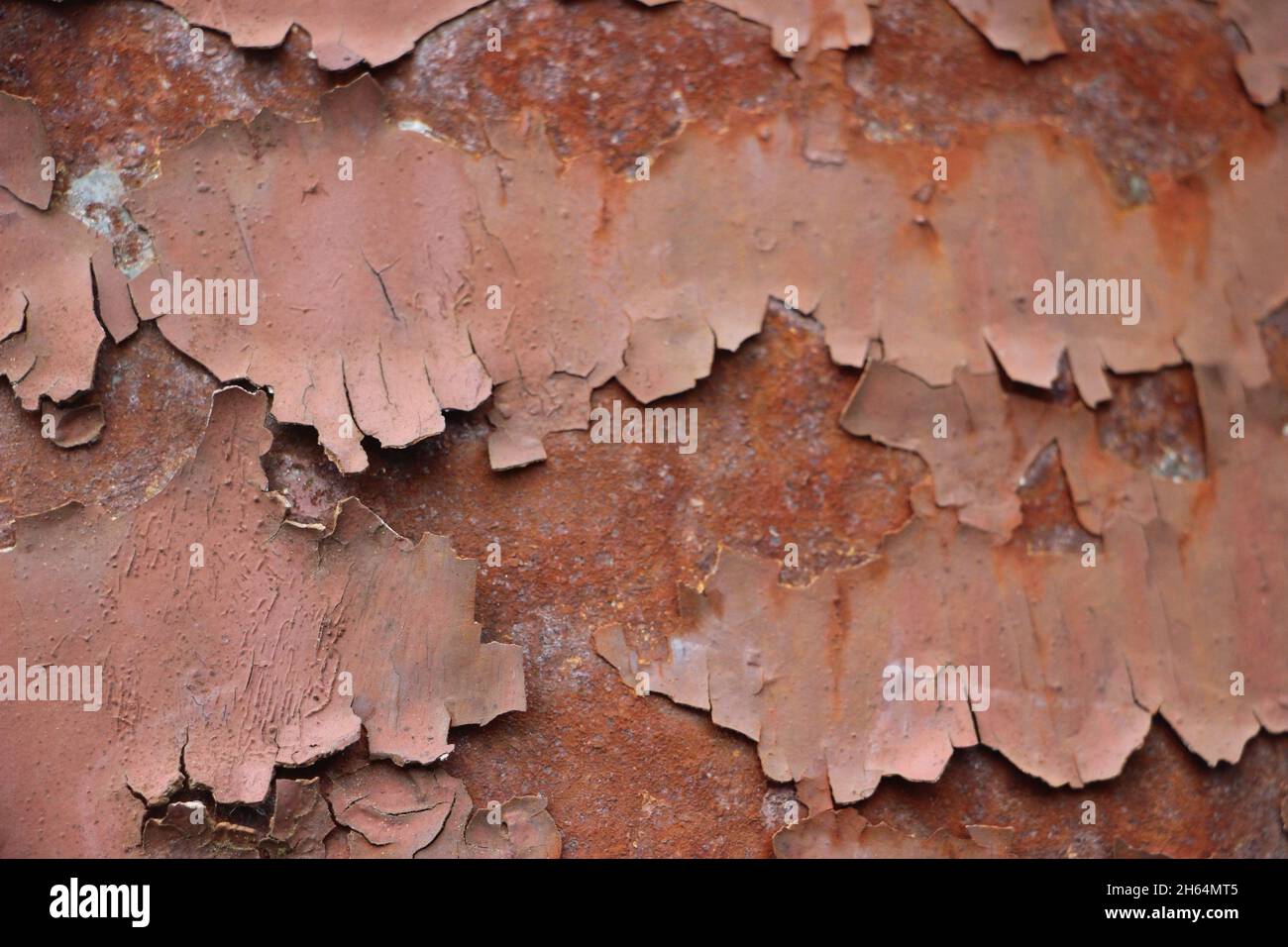 Rusty metal grunge background. Rusted steel tin abstract pattern. Stock Photo