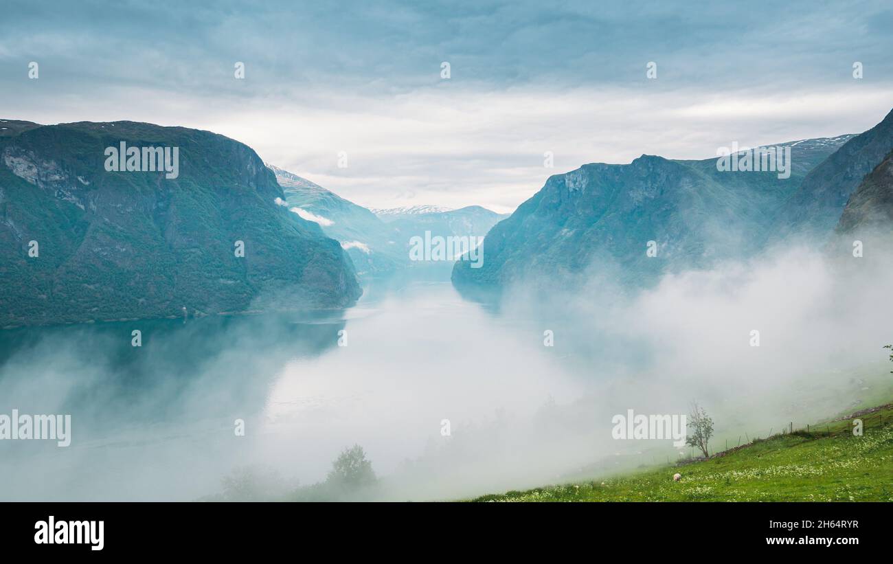 Sogn And Fjordane Fjord, Norway. Amazing Fjord Sogn Og Fjordane. In Fog Clouds. Summer Scenic View Of Famous Natural Attraction Landmark And Popular Stock Photo