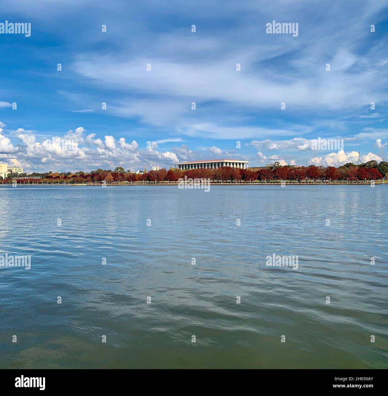 autumn trees on a wateredge of Lake Burley Griffin in Canberra under blue sky Stock Photo
