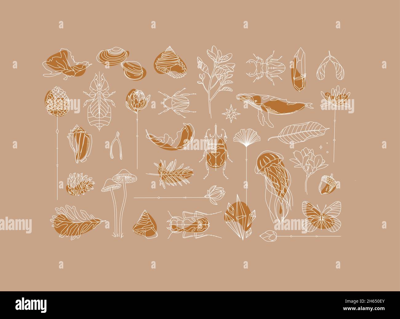 Art Deco flora and fauna collection drawing on beige background Stock Vector