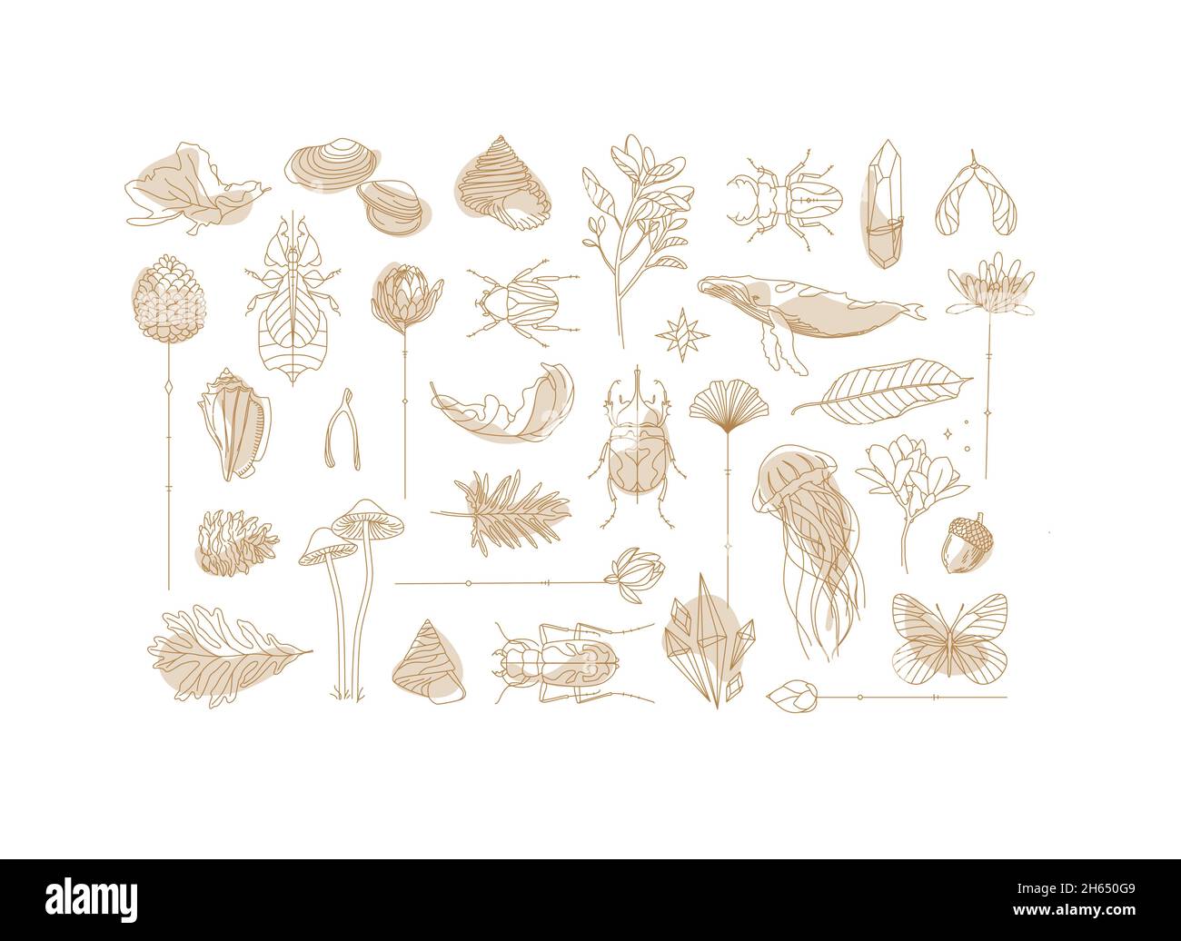 Art Deco flora and fauna collection drawing on white background Stock Vector