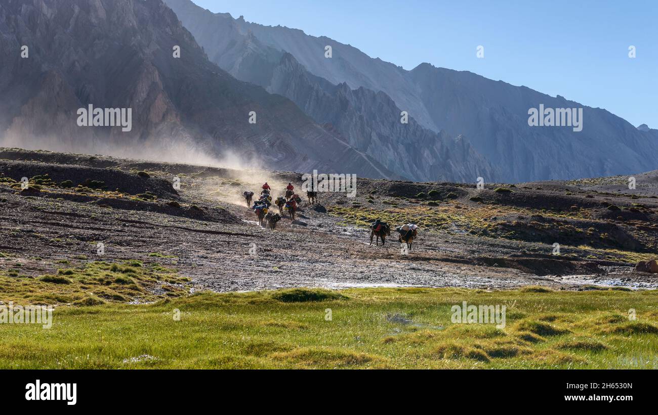 Mendoza, Aconcagua Provincial Park Argentina - Mules and riders carrying climbers' equipment and food to Aconcagua base camp leaving clouds of dust Stock Photo