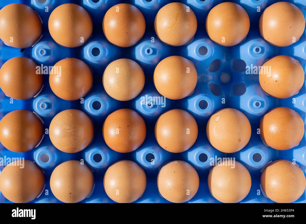 Free range eggs Stock Photo Alamy