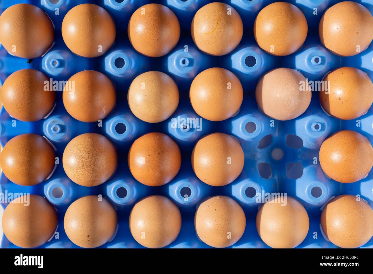 Free range eggs Stock Photo Alamy