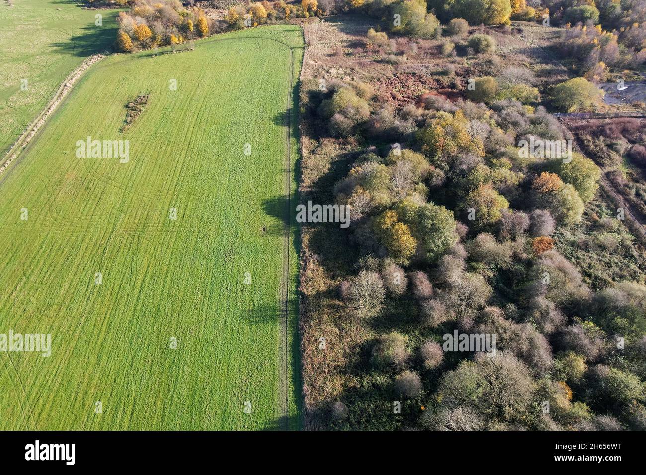 Aerial view over agricultural fields with trees sunny day Stock Photo ...