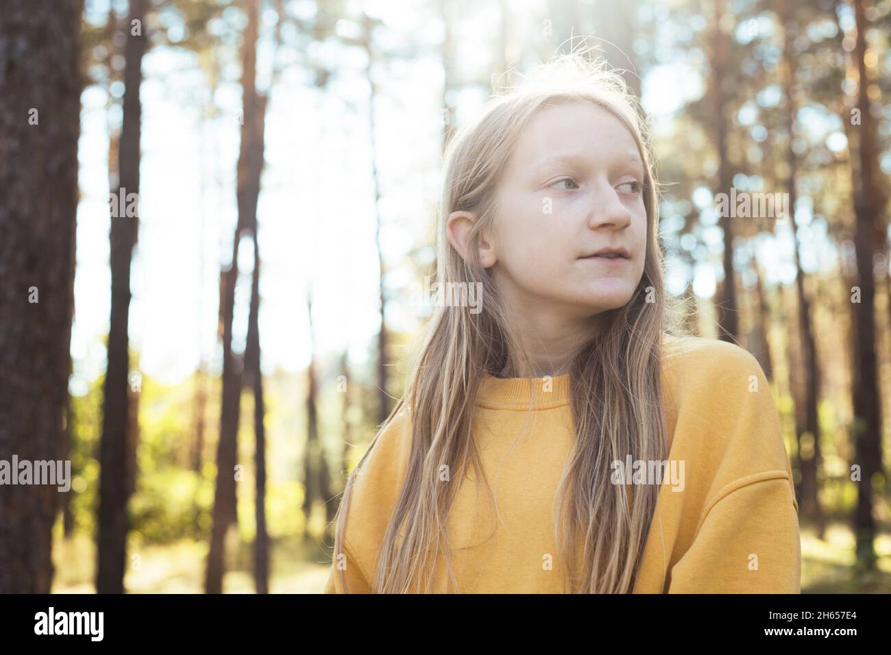 portrait beautiful happy girl in the forest at sunset time Stock Photo ...