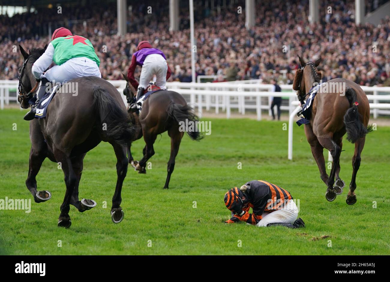 Jockey Miss Thomasina Eyston on the ground after being unseated by her