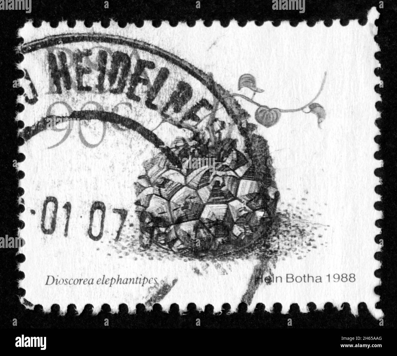 Stamp print in RSA, South Africa Stock Photo