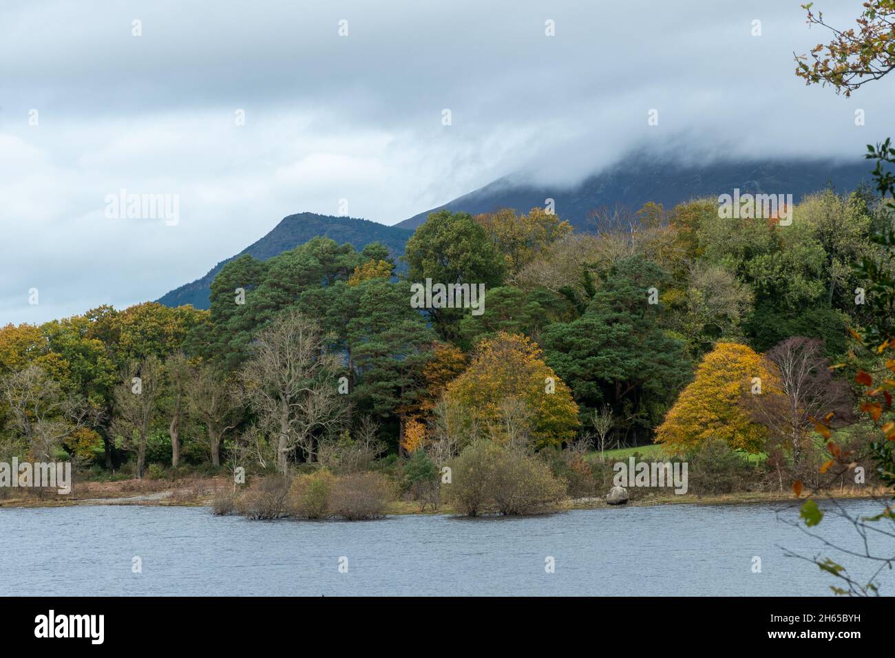 View of Derwentwater (Derwent Water) in the Lake District during November with autumn colours, Cumbria, England, UK Stock Photo
