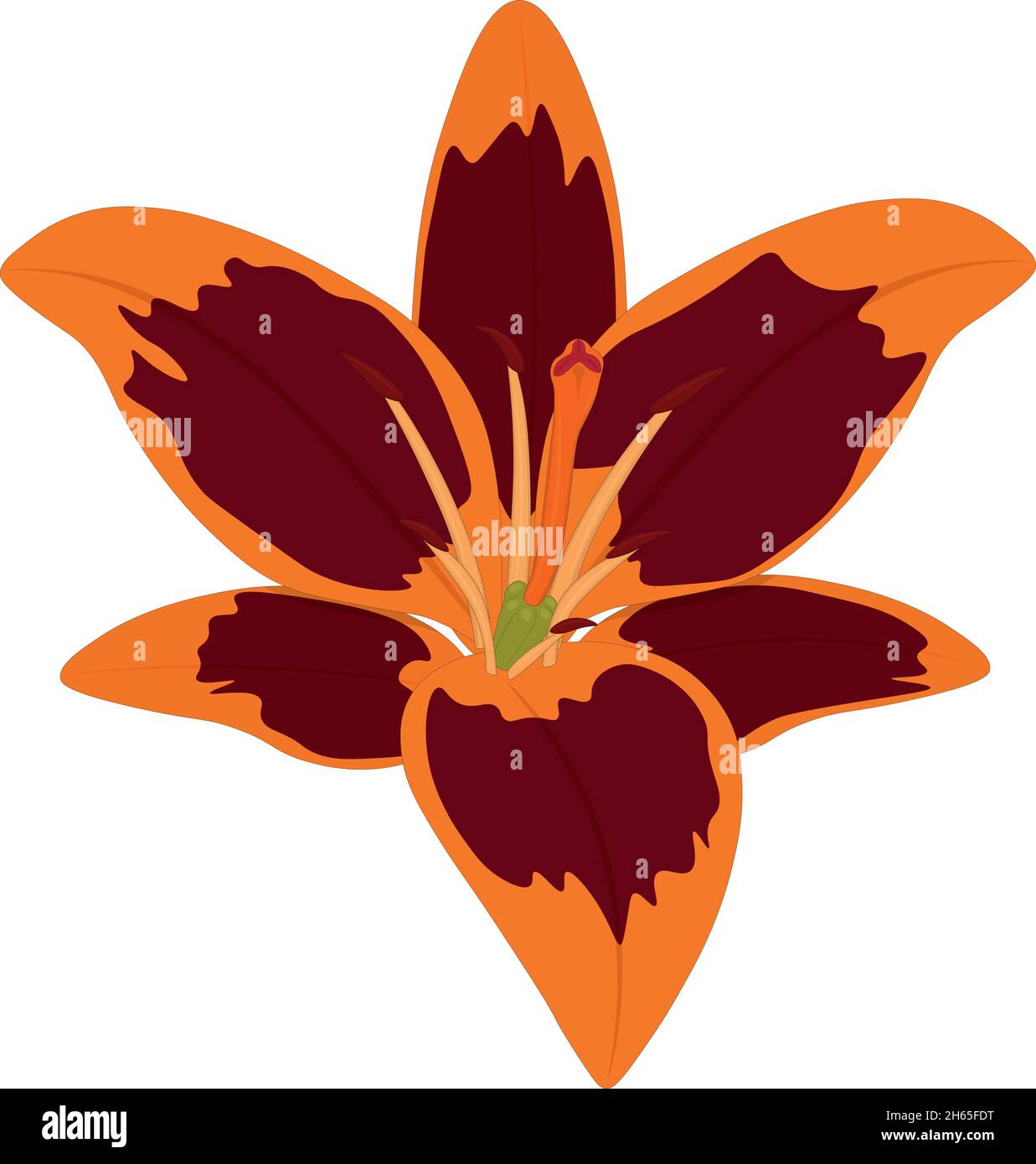 Macro orange red flower Stock Vector Images - Alamy