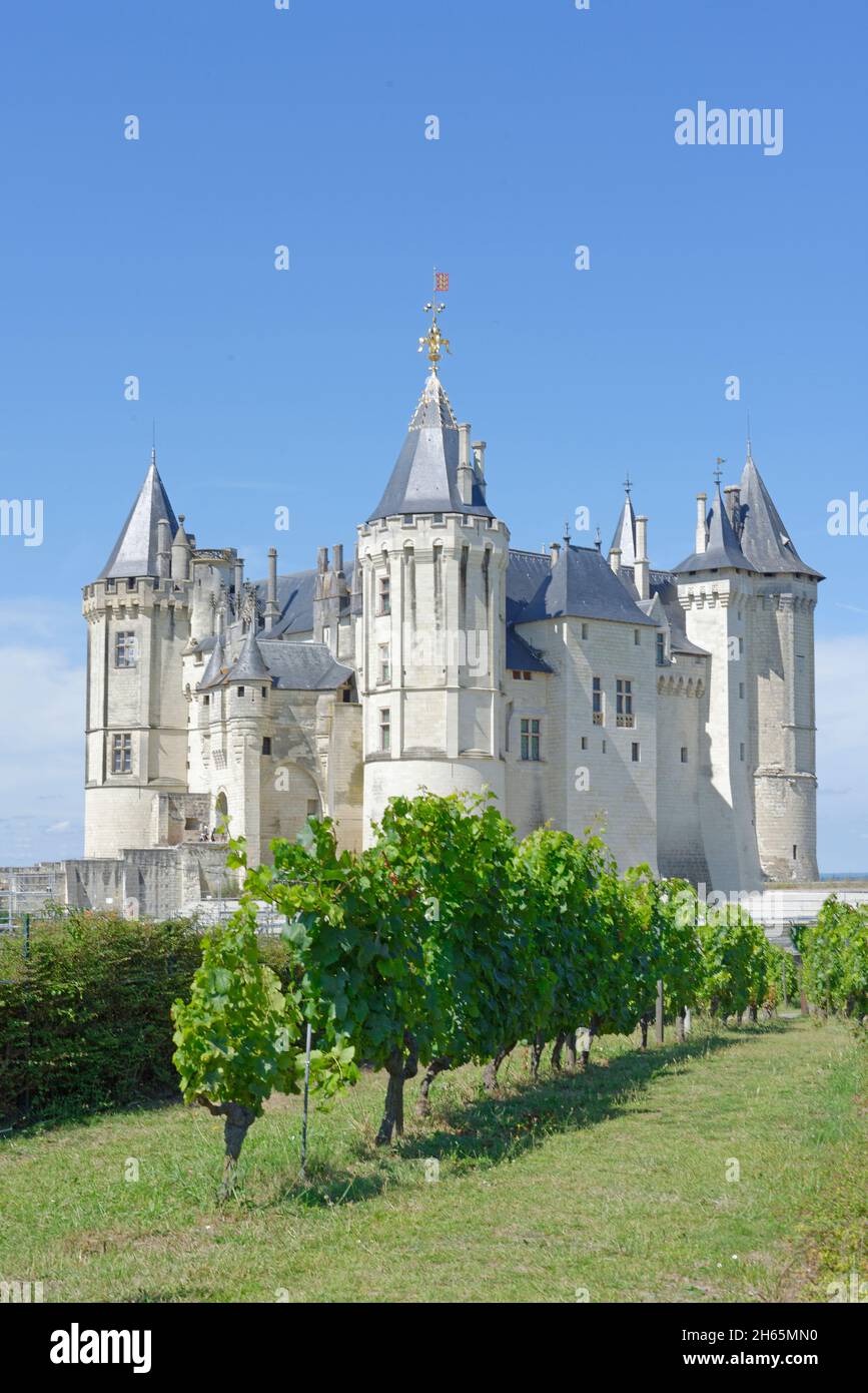 France, Maine-et-Loire (49), Loire Valley UNESCO World Heritage Site, Saumur Castle Stock Photo