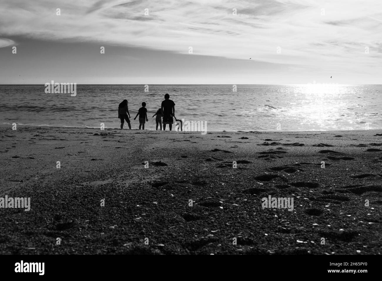 Family silhouette walking on the beach at sunset. Movie scene concept, black and white photography Stock Photo