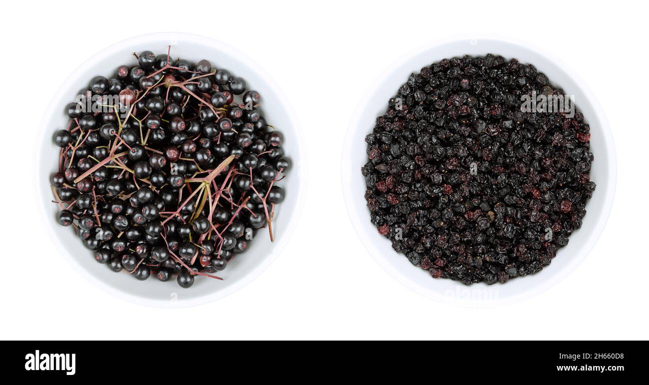 Fresh and dried elderberries in white bowls. Ripe fruit clusters and dried berries of Sambucus nigra. Raw not edible, cooked for wine or jam. Stock Photo