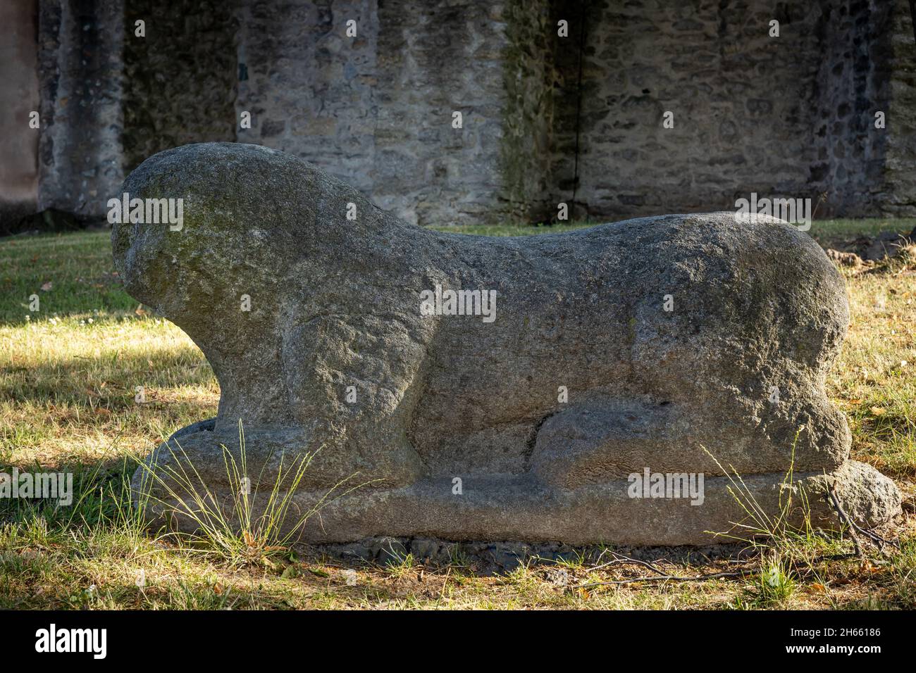 Sobotka, Poland - July 6, 2021: Stone roman lion figure from 12th century, standing in front of St Anna Church. Stock Photo