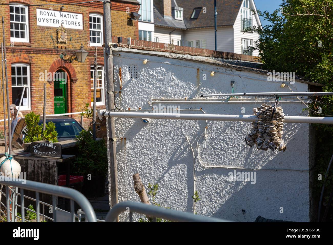 Whitstable Oyster Co restaurant Stock Photo Alamy