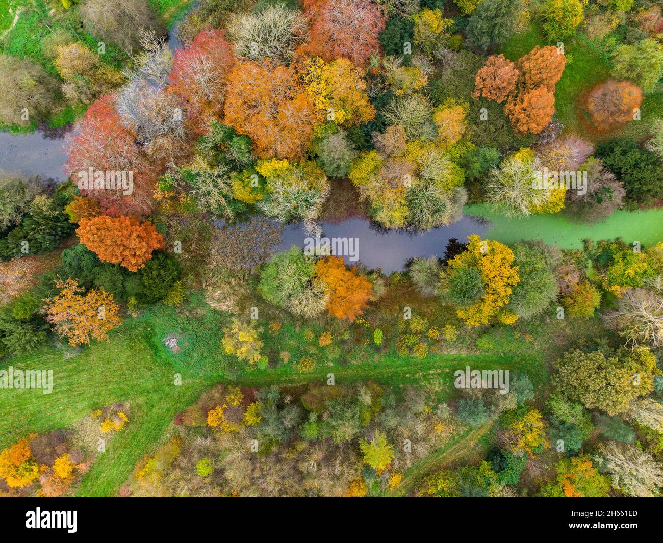 Henlow, Bedfordshire, UK. 13th Nov, 2021. Autumnal foliage captured from above in this aerial drone shot over the Bedfordshire countryside in the UK. Credit: Mick Flynn/Alamy Live News Stock Photo