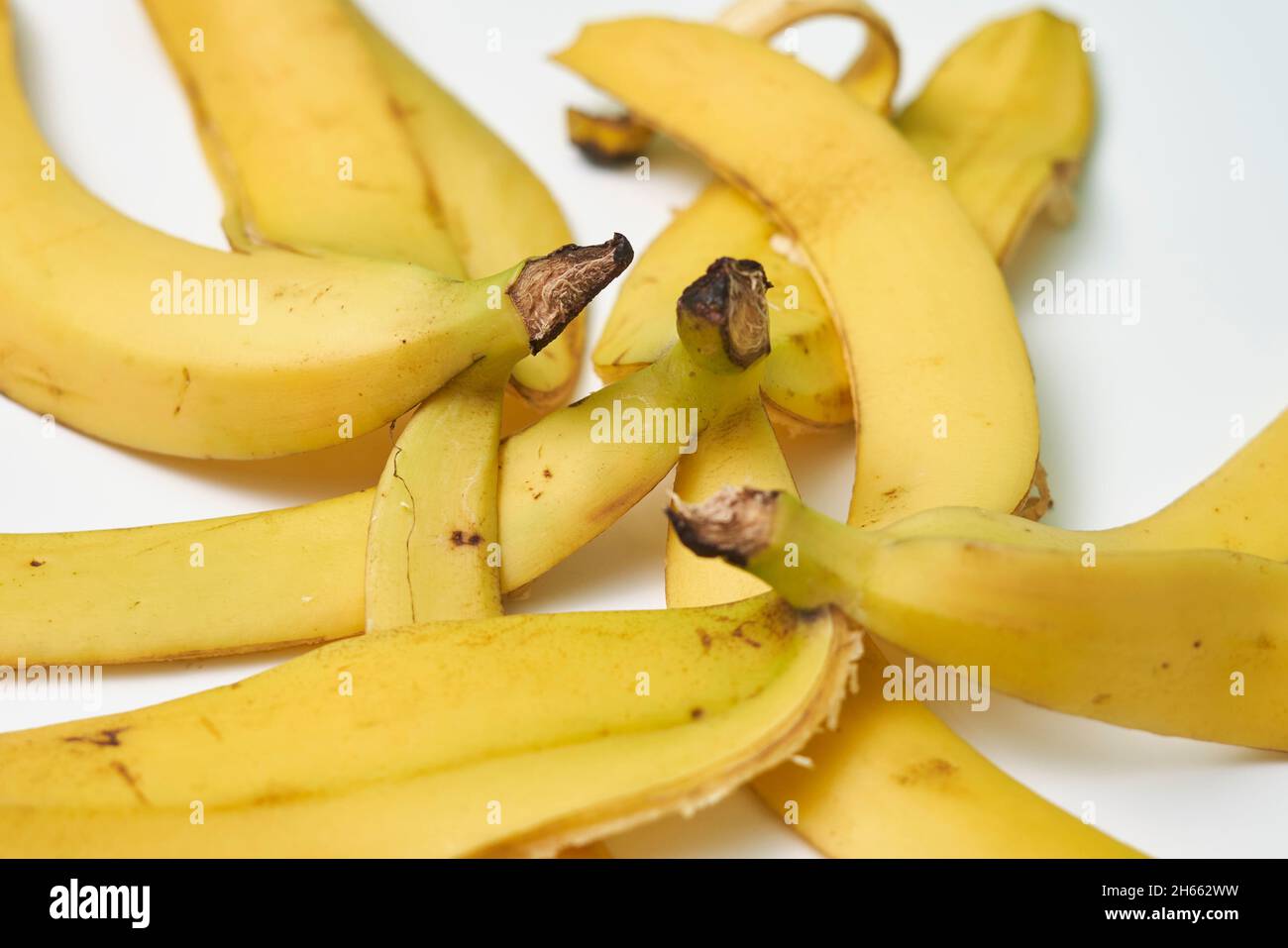Banana peels or banana skin. Using banana peels in compost, for skin care, hair  health and first aid. Health benefits of banana peel Stock Photo - Alamy