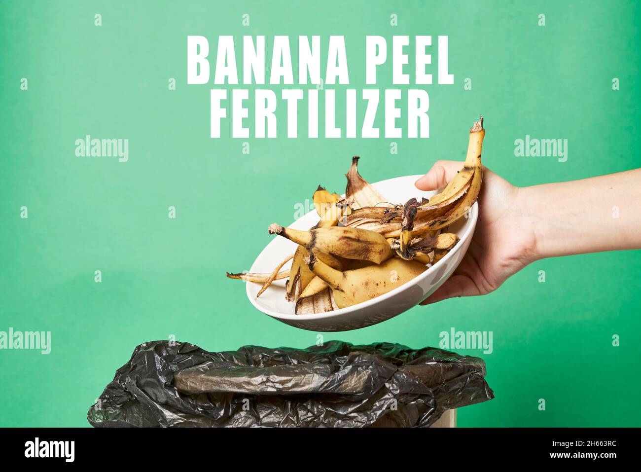 Woman throwing banana peels in trash can. Throw out banana peels in garbage. Banana skin in