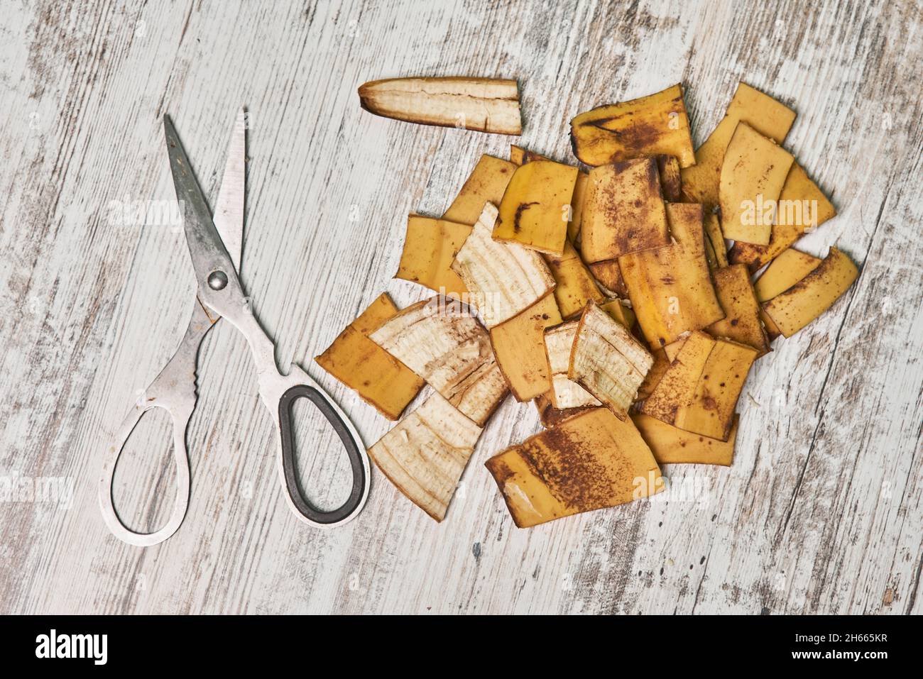 Banana peel fertilizer cut banana peels into small pieces ready to