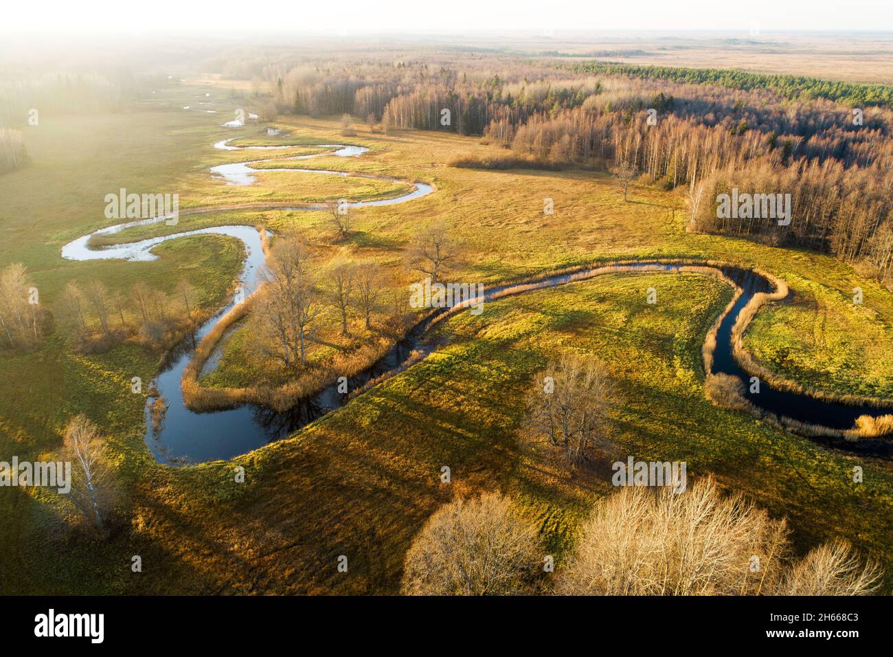 Aerial of a curvy small river on an late autumn evening on Mulgi wooded meadow in Soomaa National Park. Stock Photo