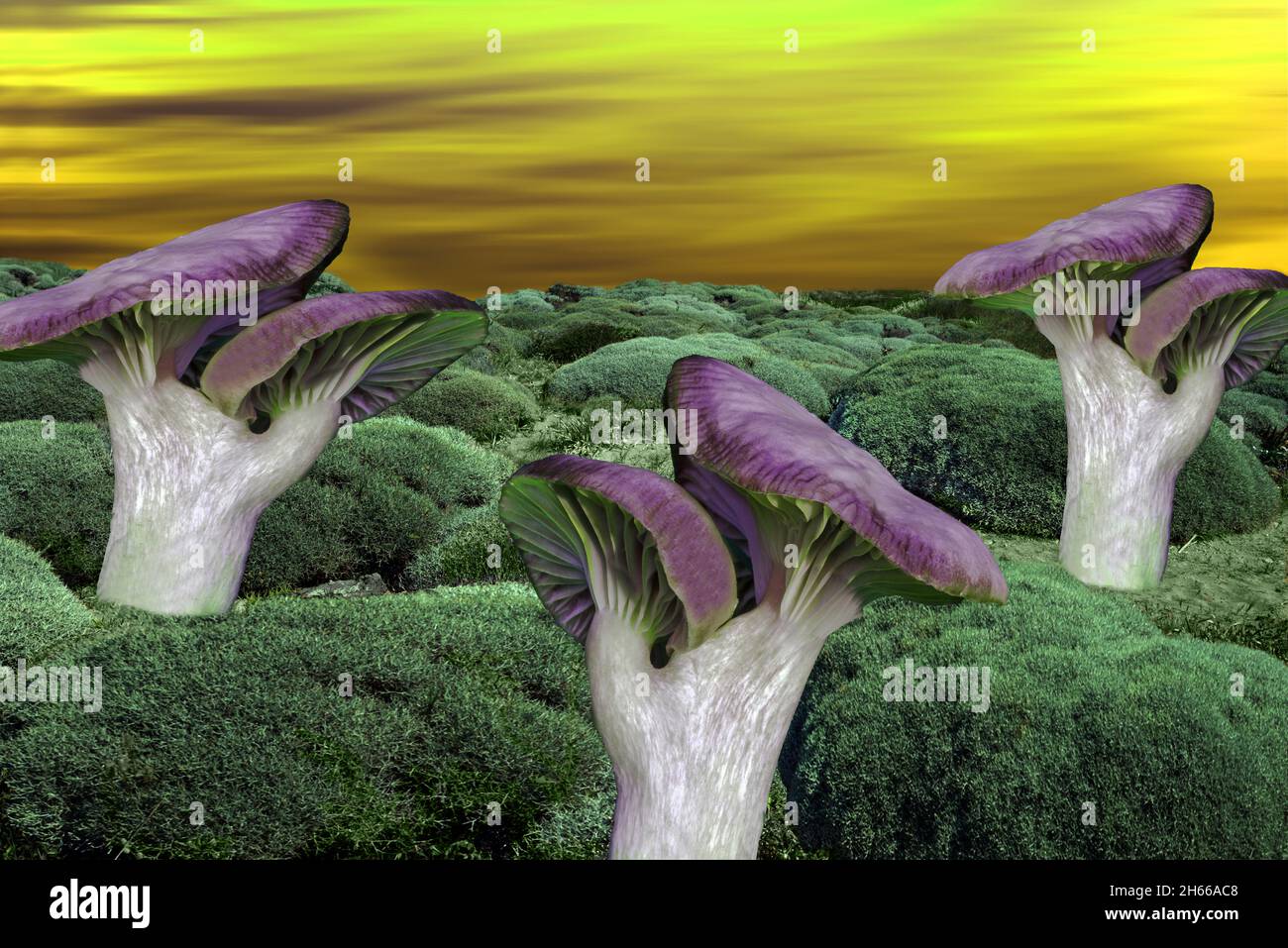 A fantasy image of giant fungi on an alien planet. The fungus is based on an unusual double capped version of Cuphophyllus flavipes. Stock Photo