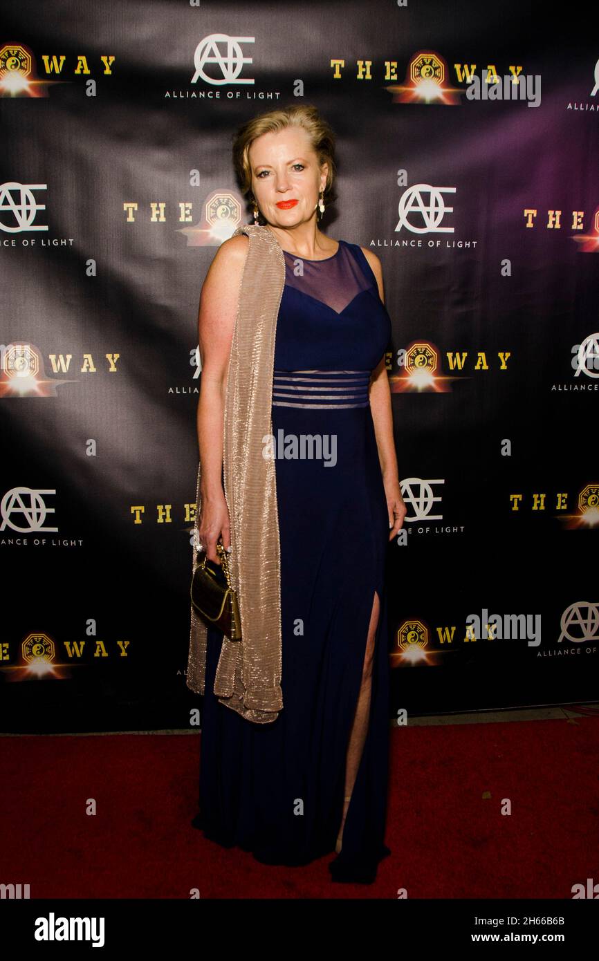 Red Carpet Premiere of the action thriller feature film The Way Stock ...