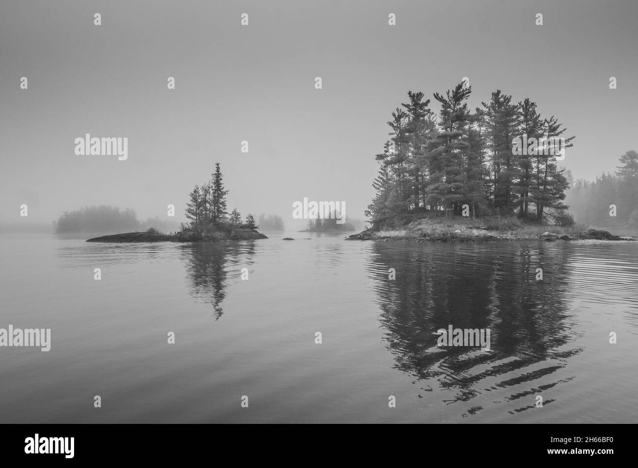 Foggy mountain woods Black and White Stock Photos & Images - Alamy
