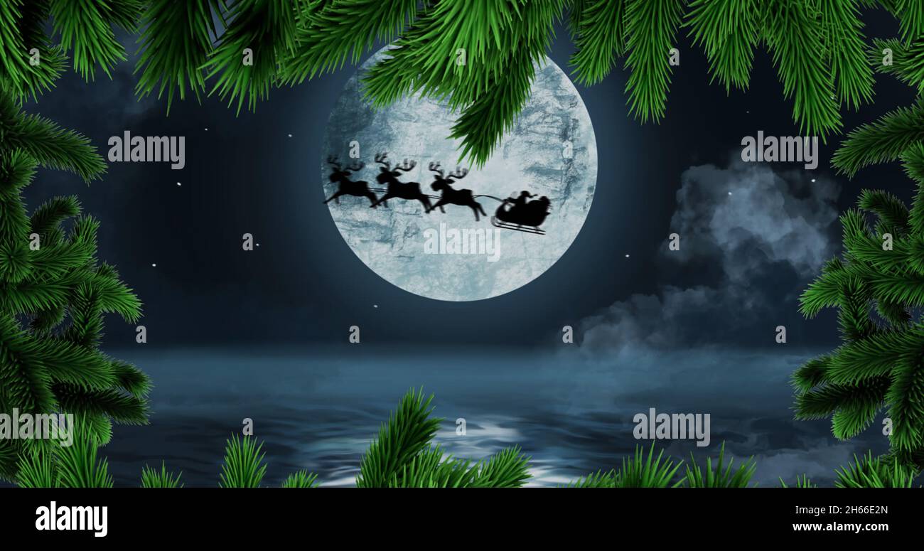 Image of fir trees at christmas over santa in sleigh Stock Photo Alamy