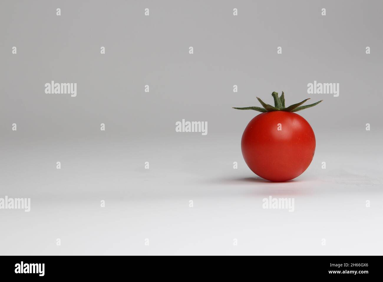 Close up of a tomato isolated on a white background Stock Photo - Alamy