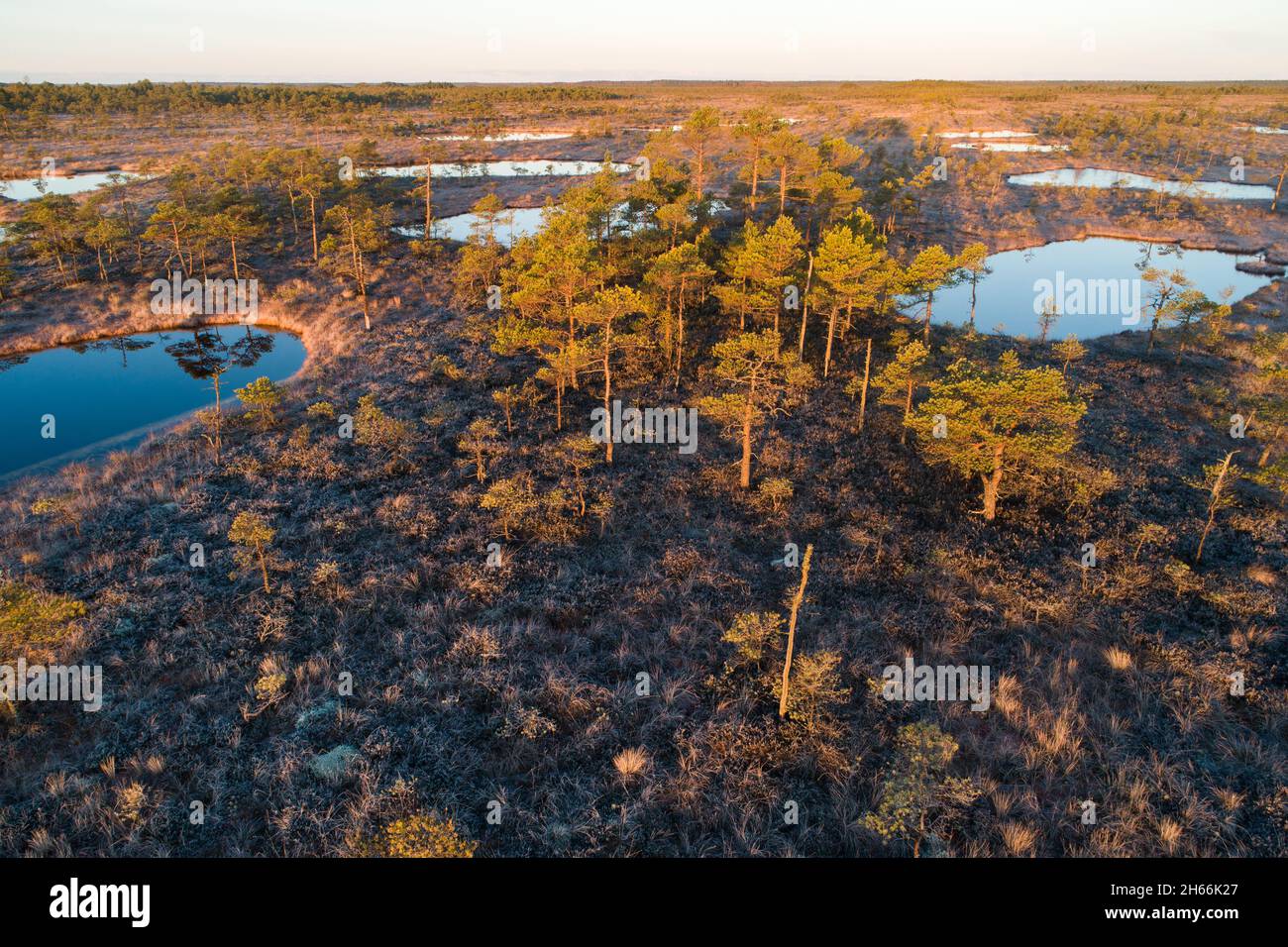 An aerial view of dark bog lakes during an autumnal morning sunrise in