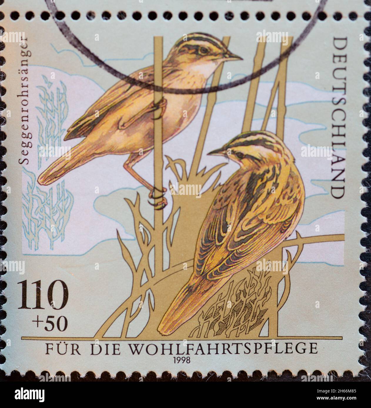 GERMANY - CIRCA 1998 : a postage stamp from Germany, showing a drawing of the endangered bird sedge warbler Stock Photo