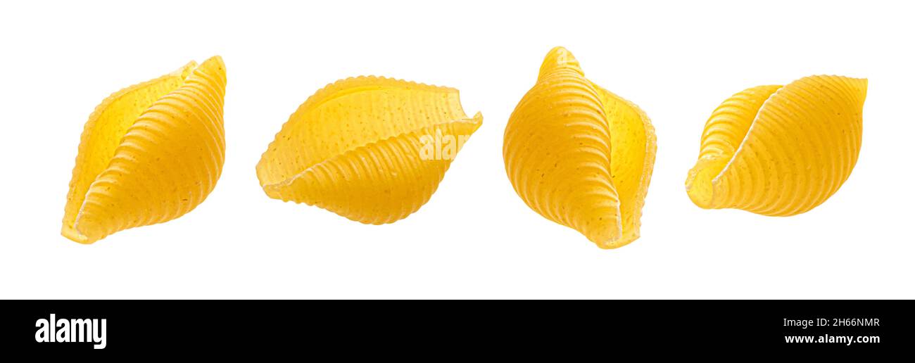 Striped shell pasta isolated on white background Stock Photo