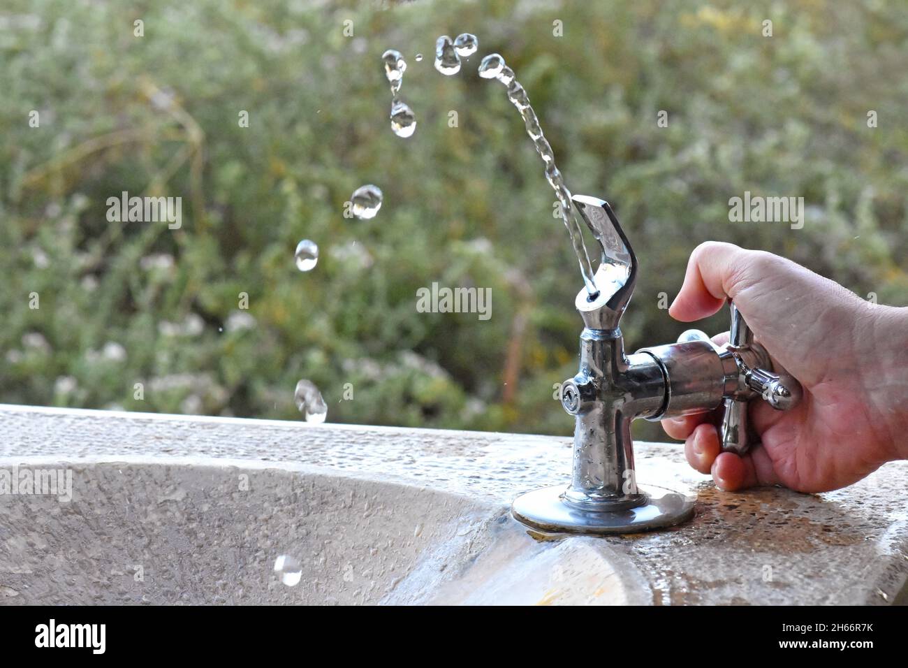 Drinking water in the park Stock Photo