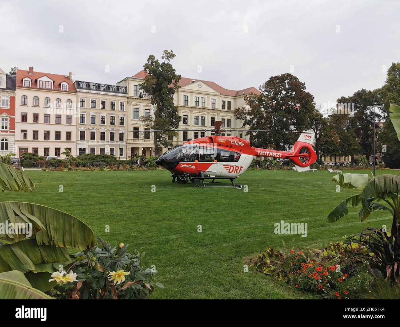 DRF Luftrettung Hubschrauber Helikopter G rlitz Wilhelmsplatz Stock drf-luftrettung-hubschrauber-helikopter-g-rlitz-wilhelmsplatz-stock