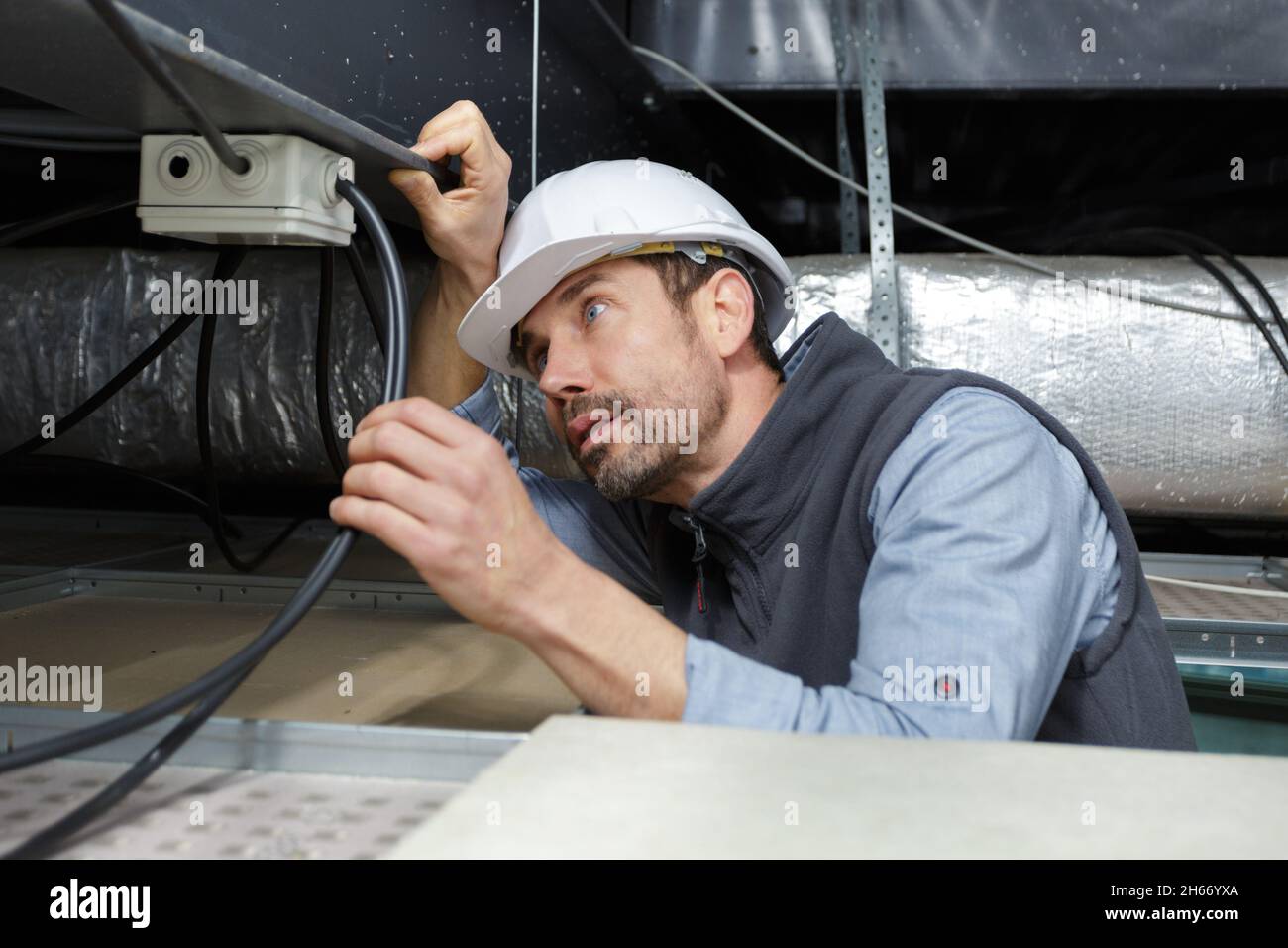 professional electrician fixing cables up in the roof Stock Photo Alamy