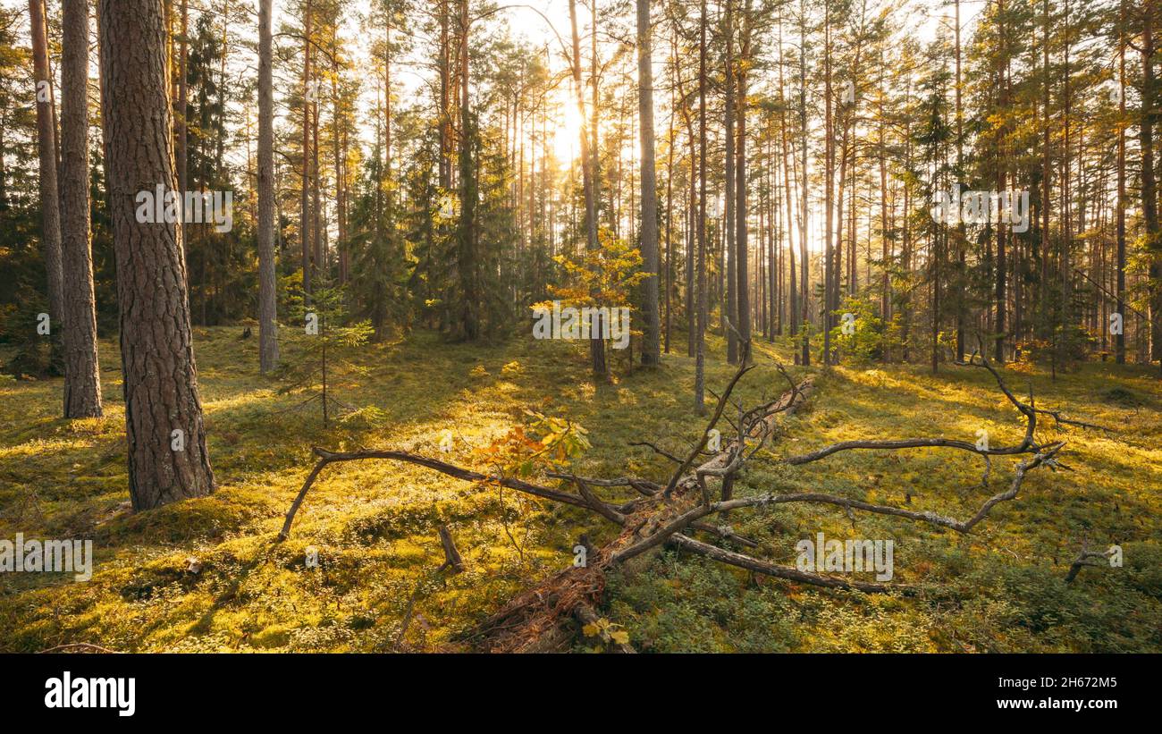 Shadow time lapse hi-res stock photography and images - Alamy