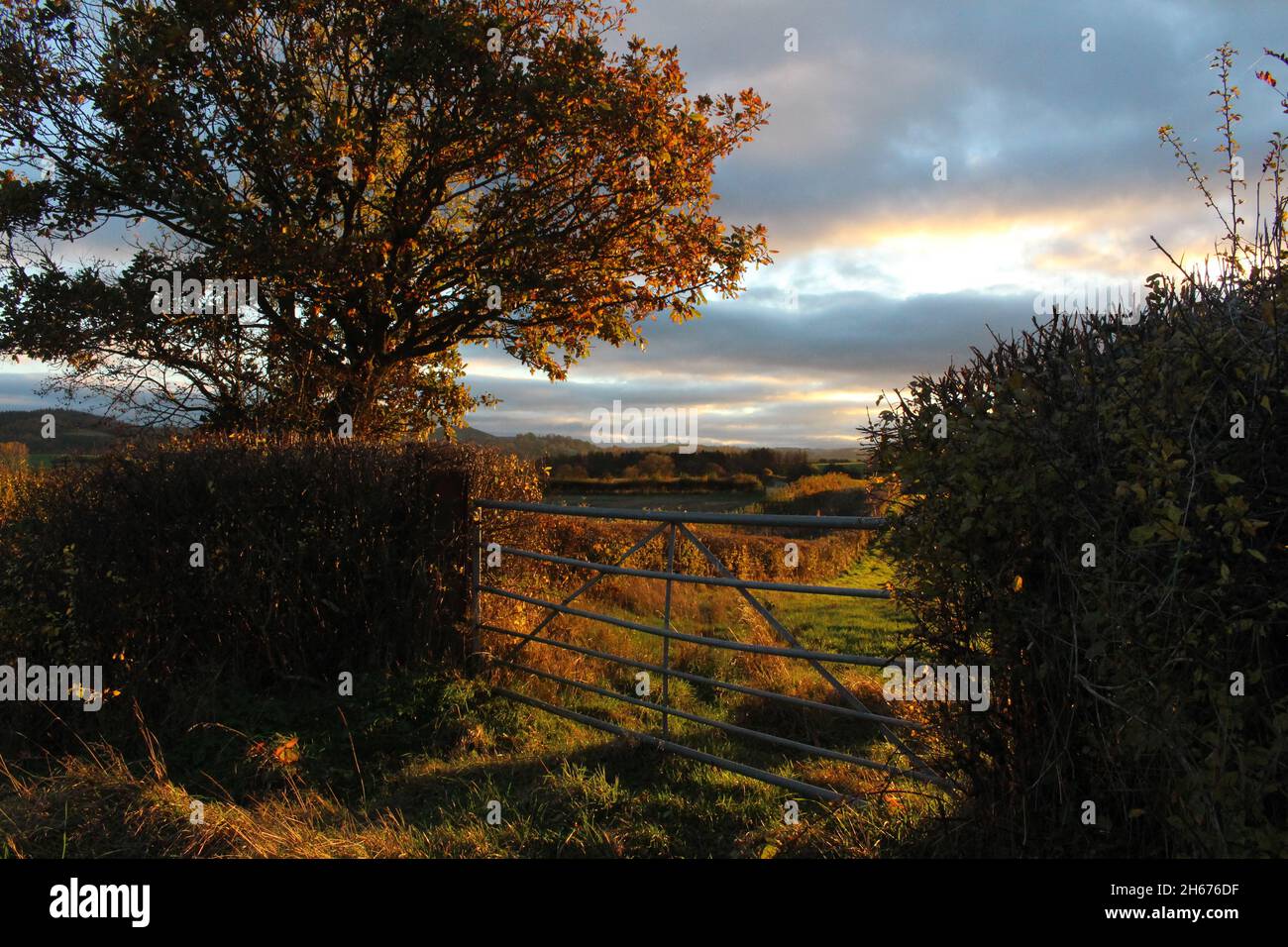 Evenjobb hires stock photography and images Alamy