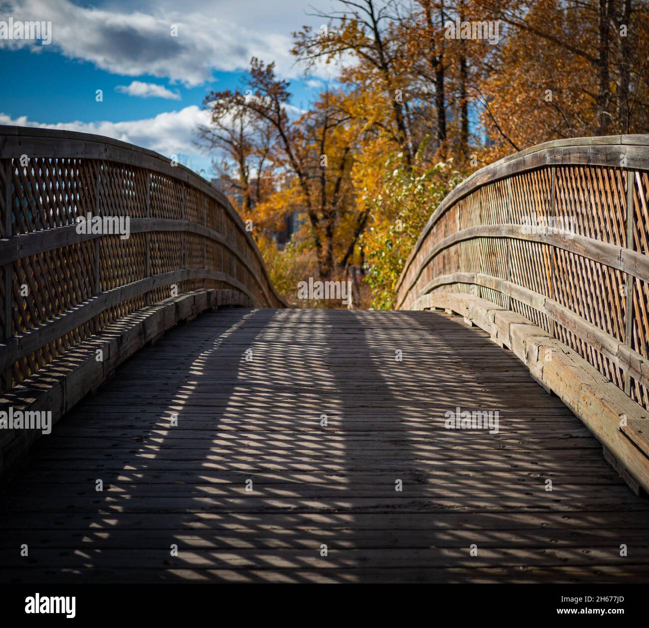 Wooden arch bridge leading into autumnal forestry Stock Photo - Alamy