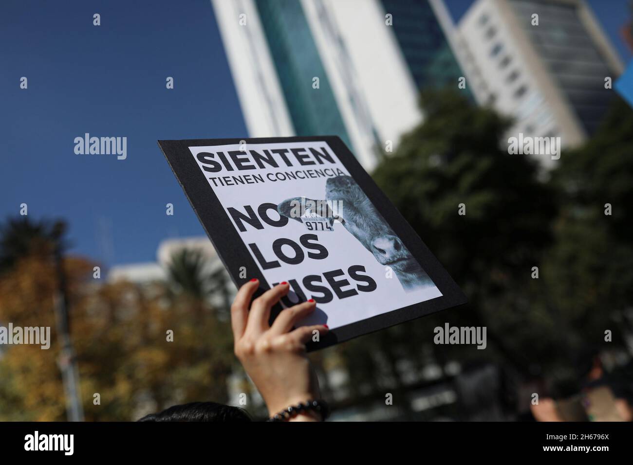 An animal rights activist holds a sign that read, 'They feel. They have conscience. Don't use them' in a demonstration demanding justice against animal abuse in Mexico City, Mexico November 13, 2021. REUTERS/Edgard Garrido Stock Photo