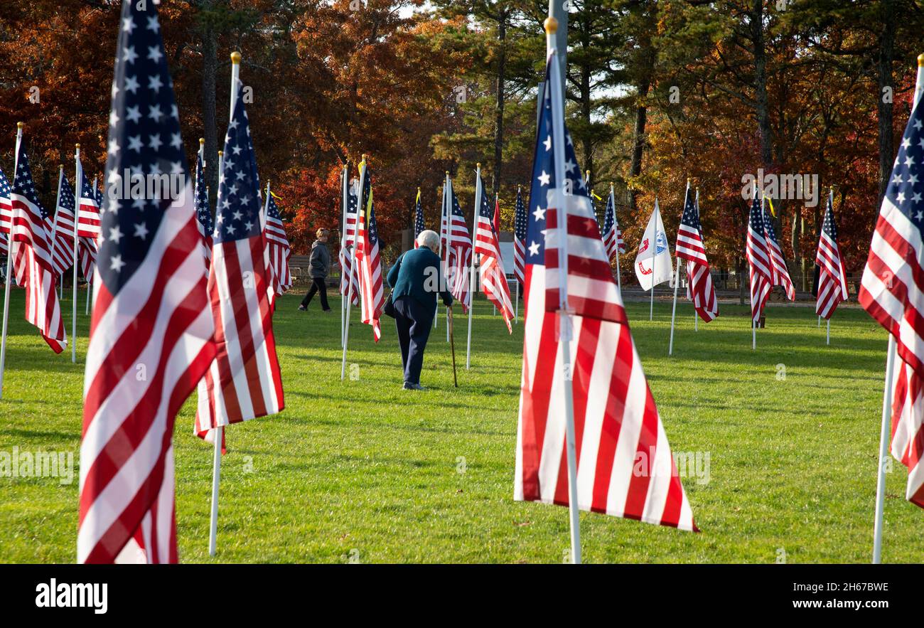 Walking through the Dennis (Cape Cod, Massachusetts), Field of Honor.  A Veterans Day salute to those that have served. Stock Photo