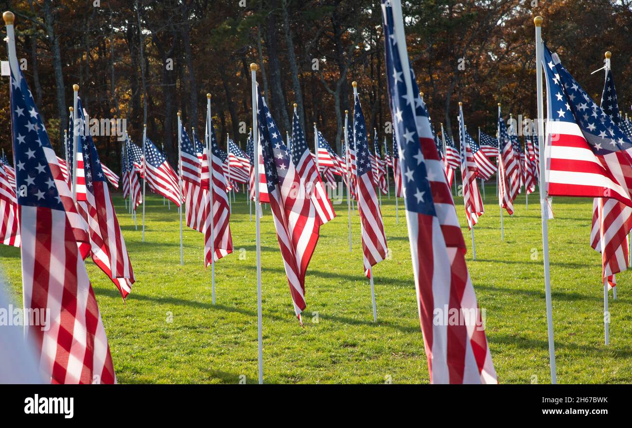 Dennis (Cape Cod, Massachusetts), Field of Honor.  A Veterans Day salute to those that have served.  400 US flags sponsored be individuals in memory o Stock Photo