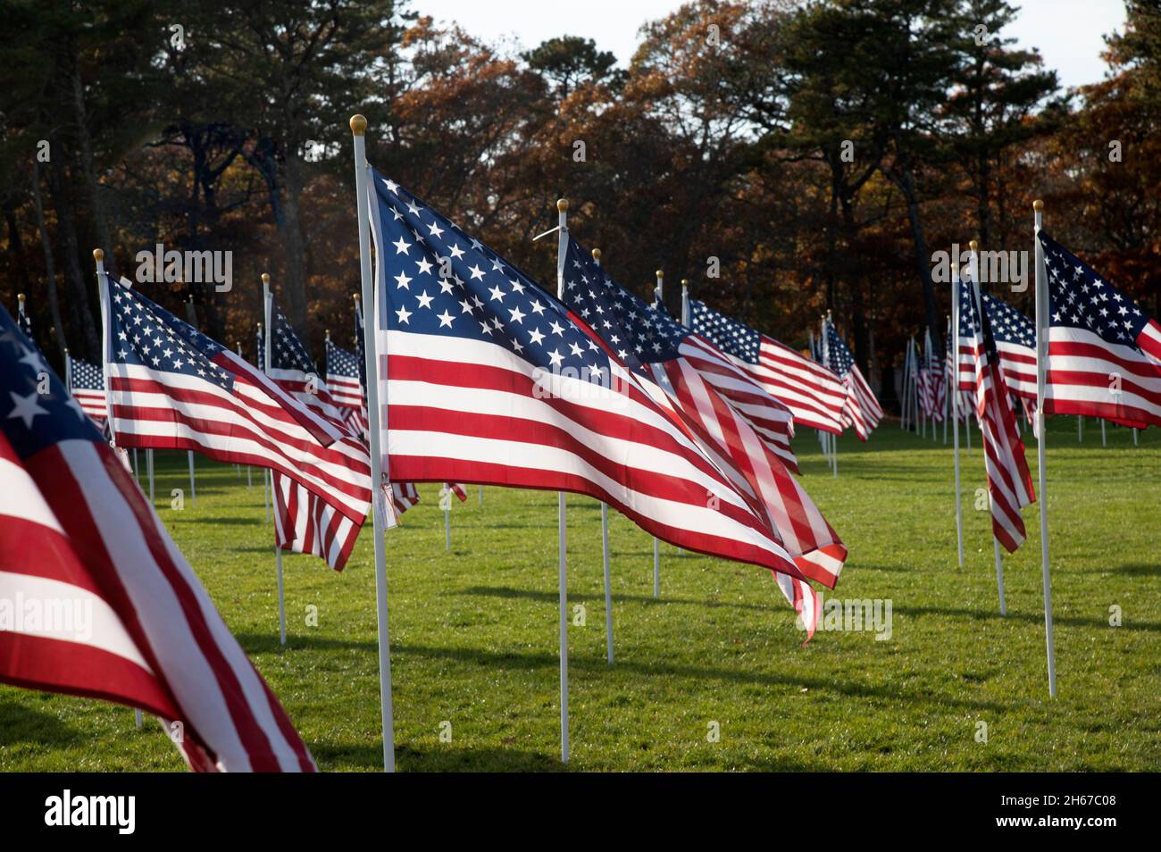 Dennis (Cape Cod, Massachusetts), Field of Honor.  A Veterans Day salute to those that have served.  400 US flags sponsored be individuals in memory o Stock Photo