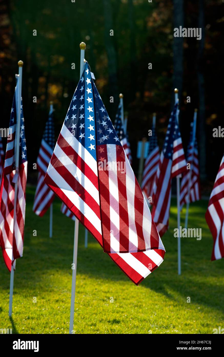 Dennis (Cape Cod, Massachusetts), Field of Honor.  A Veterans Day salute to those that have served.  400 US flags sponsored be individuals who served. Stock Photo