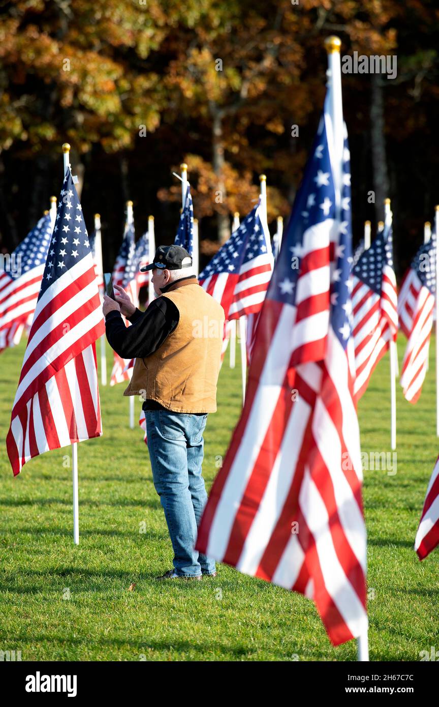 A veteran at the Dennis (Cape Cod, Massachusetts), Field of Honor.  A Veterans Day salute to those that have served.  400 US flags sponsored be indivi Stock Photo