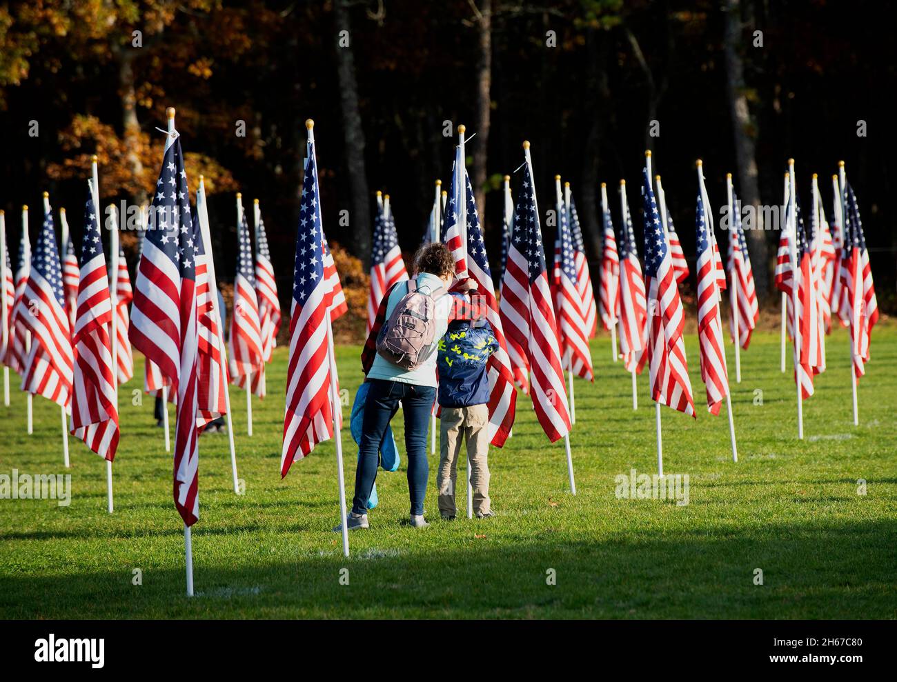 A mother and son at the Dennis (Cape Cod, Massachusetts), Field of Honor.  A Veterans Day salute to those that have served.  400 US flags sponsored be Stock Photo