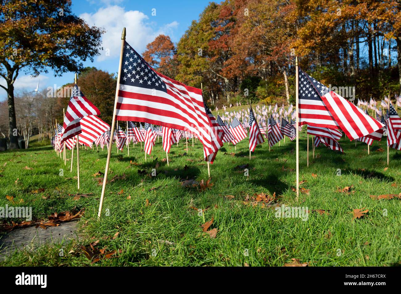 Veterans day crafts for preschoolers pinterest