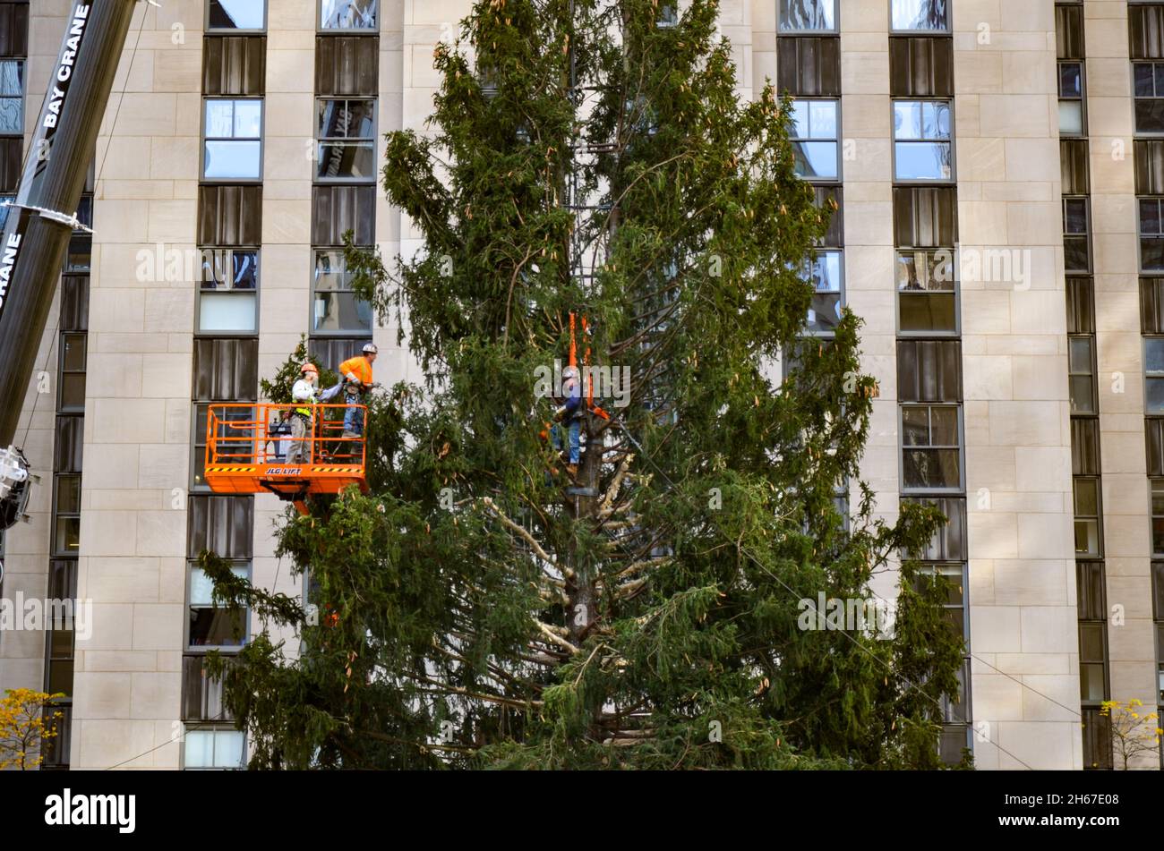 New York, New York, USA. 13th Nov, 2021. The 12-ton, 79-foot ...