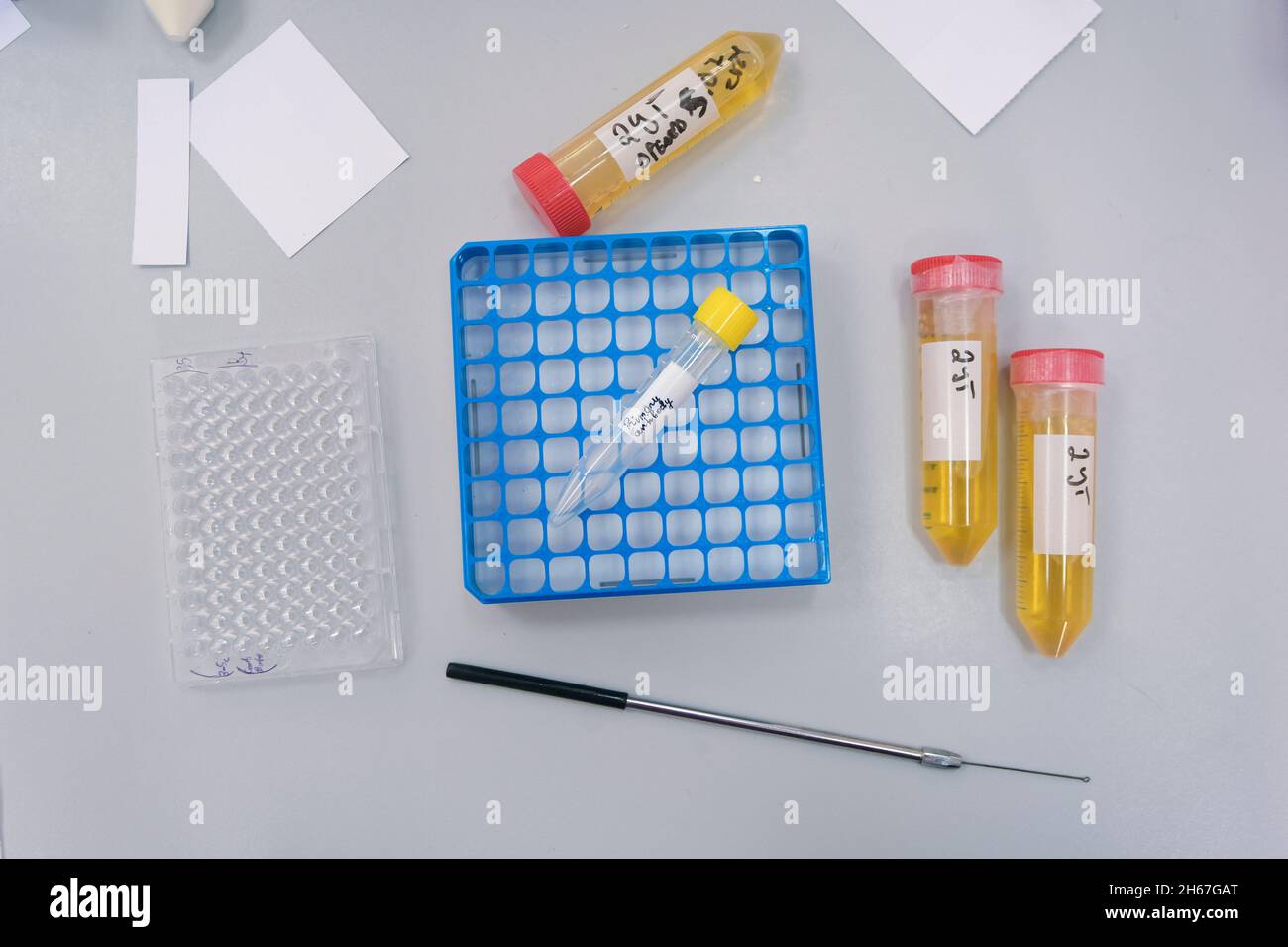 Laboratory items are on the work table in the laboratory, test tubes
